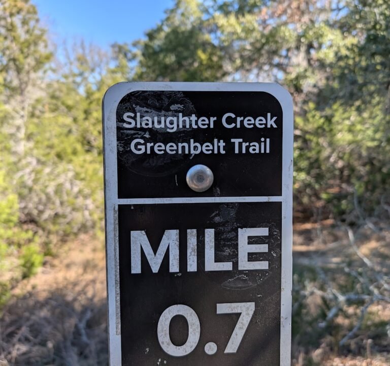 Soccer Field image 3