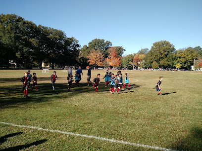 Soccer Field image 1