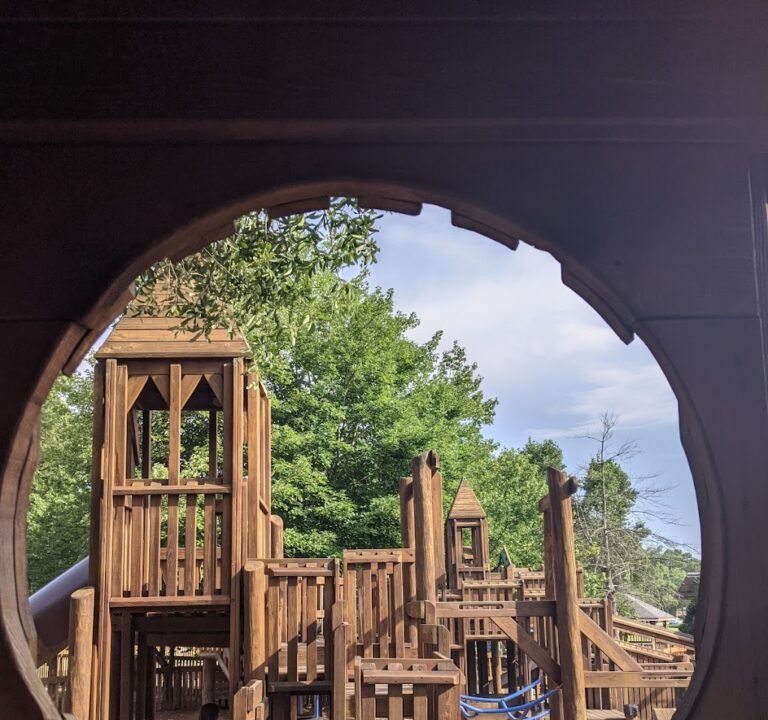 Soccer Field image 2