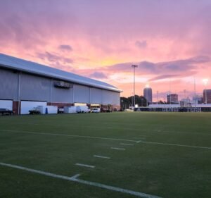 Soccer Field image 2