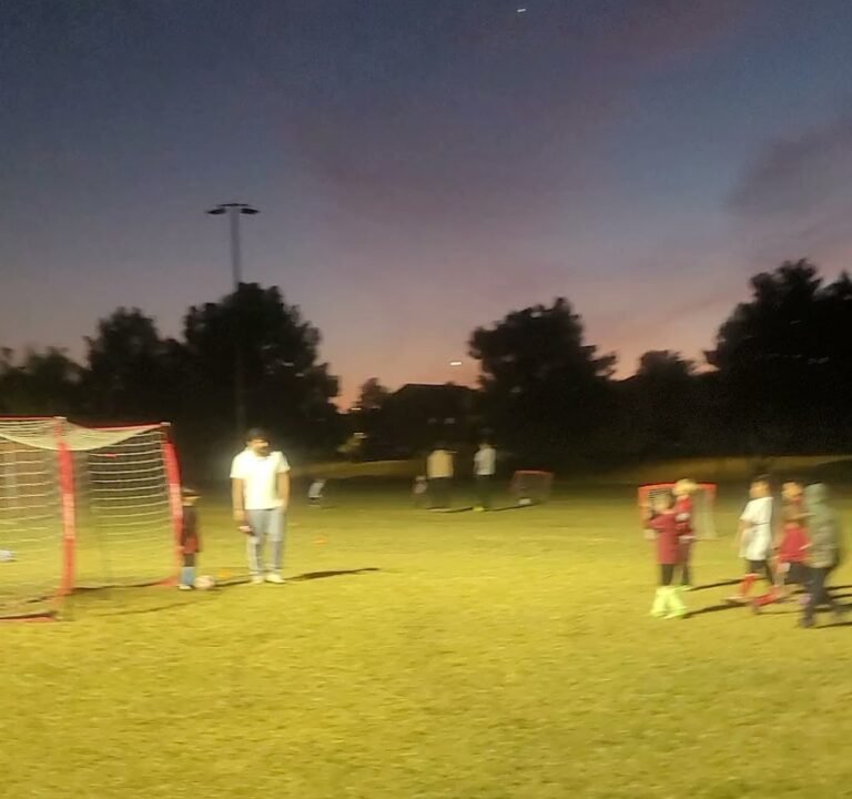 Soccer Field image 4