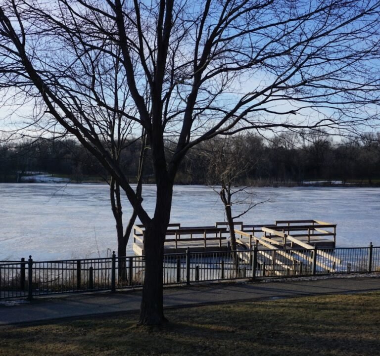 Soccer Field image 2