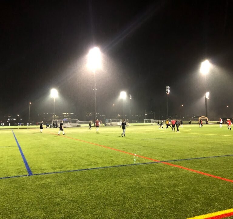 Soccer Field image 2