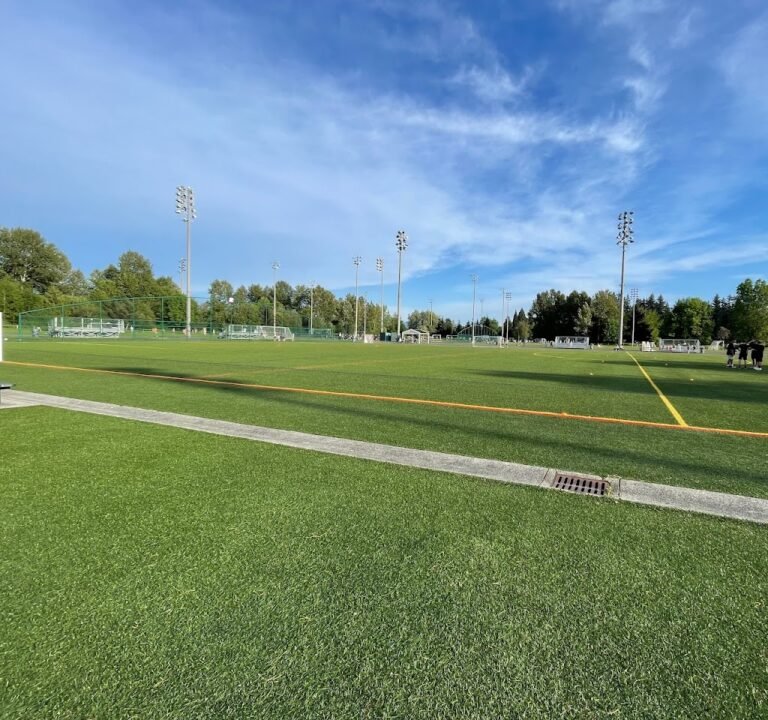 Soccer Field image 2