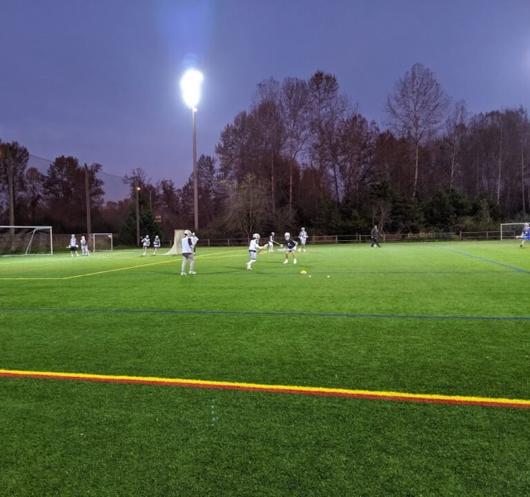 Soccer Field image 3