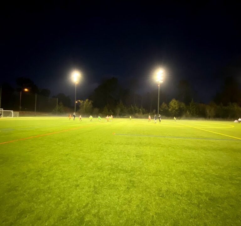 Soccer Field image 2