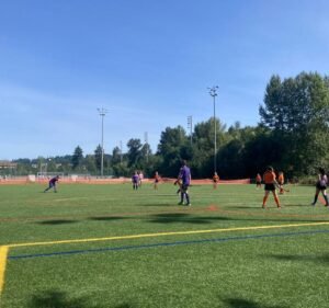 Soccer Field image 4