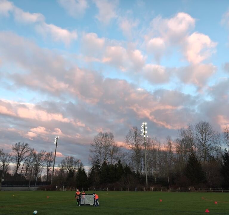 Soccer Field image 3