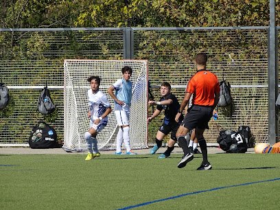 Soccer Field image 1