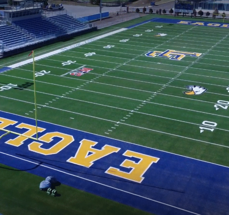 Soccer Field image 2