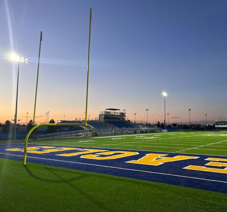 Soccer Field image 3