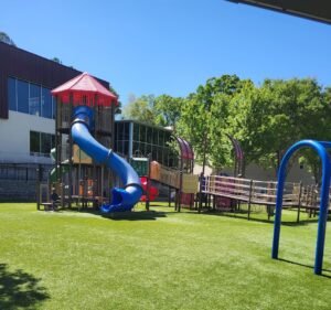 Soccer Field image 2