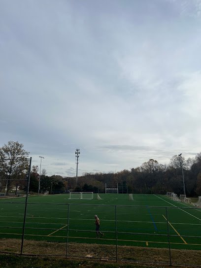Soccer Field image 1