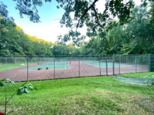 Soccer Field image 1
