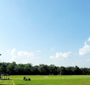 Soccer Field image 2