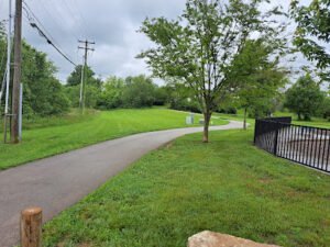 Soccer Field image 1