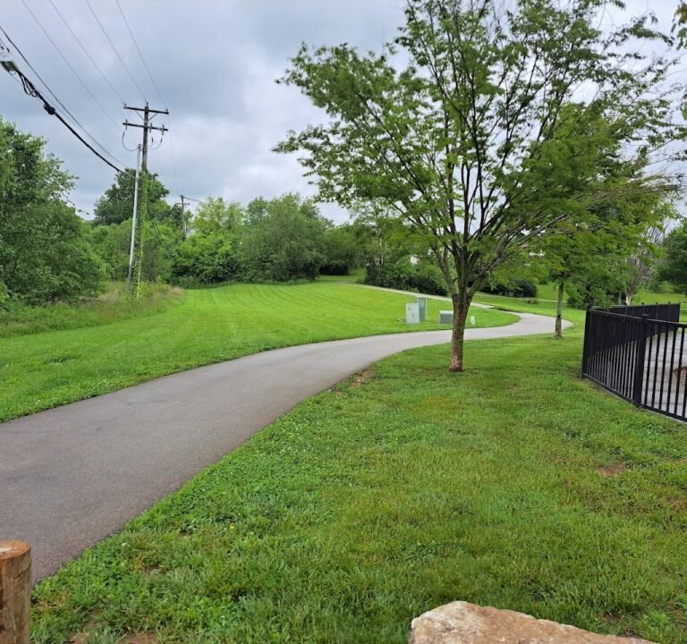 Soccer Field image 2