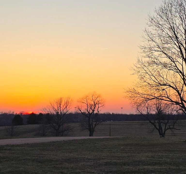 Soccer Field image 3
