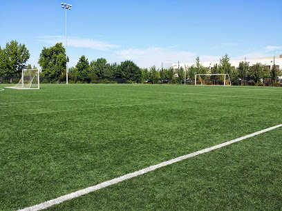 Soccer Field image 1