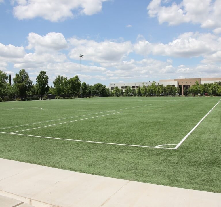 Soccer Field image 2