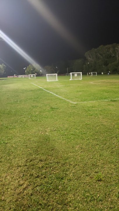 Soccer Field image 1
