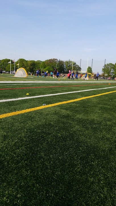 Soccer Field image 1