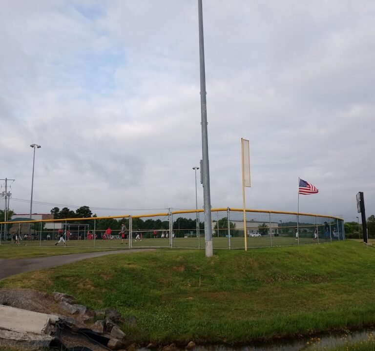 Soccer Field image 2