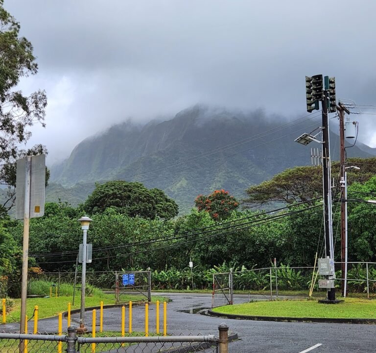 Soccer Field image 3