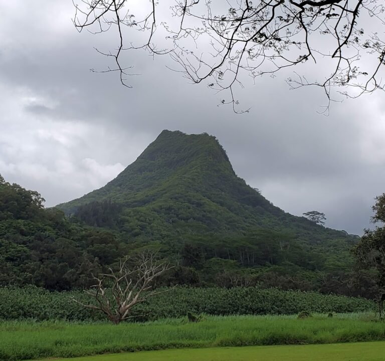 Soccer Field image 2