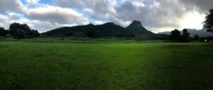 Soccer Field image 1