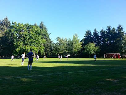 Soccer Field image 1