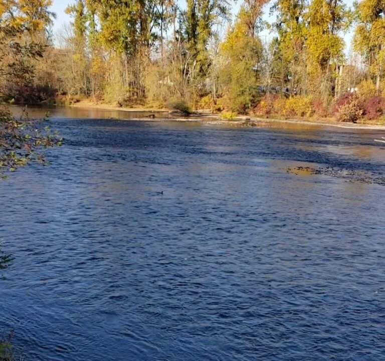 Soccer Field image 4