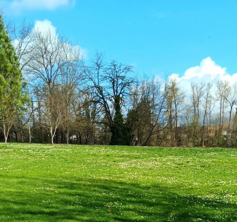 Soccer Field image 3