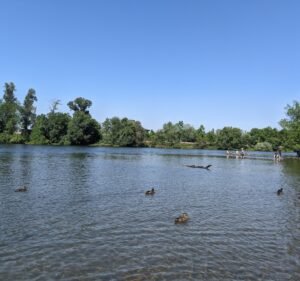 Soccer Field image 2