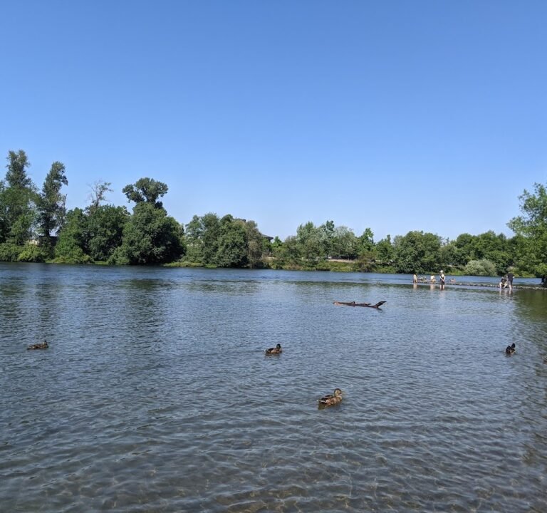 Soccer Field image 2