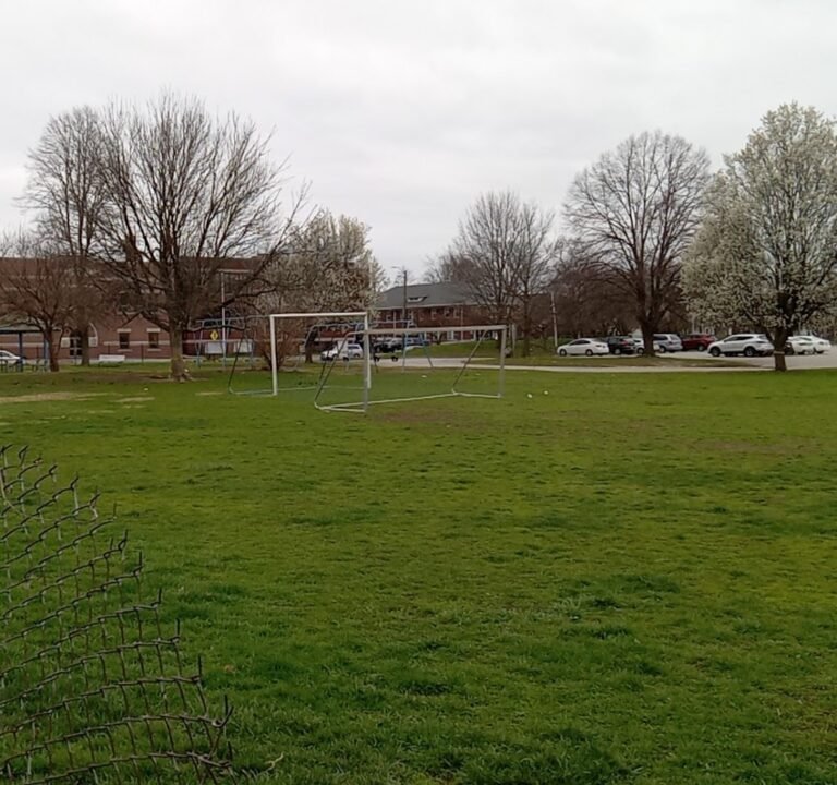 Soccer Field image 2