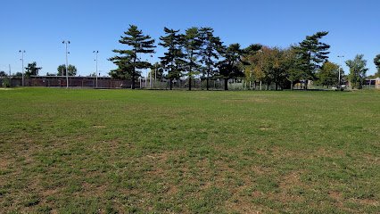 Soccer Field image 1