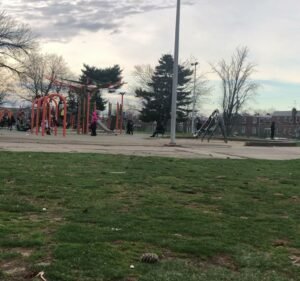 Soccer Field image 4