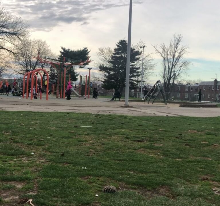 Soccer Field image 4