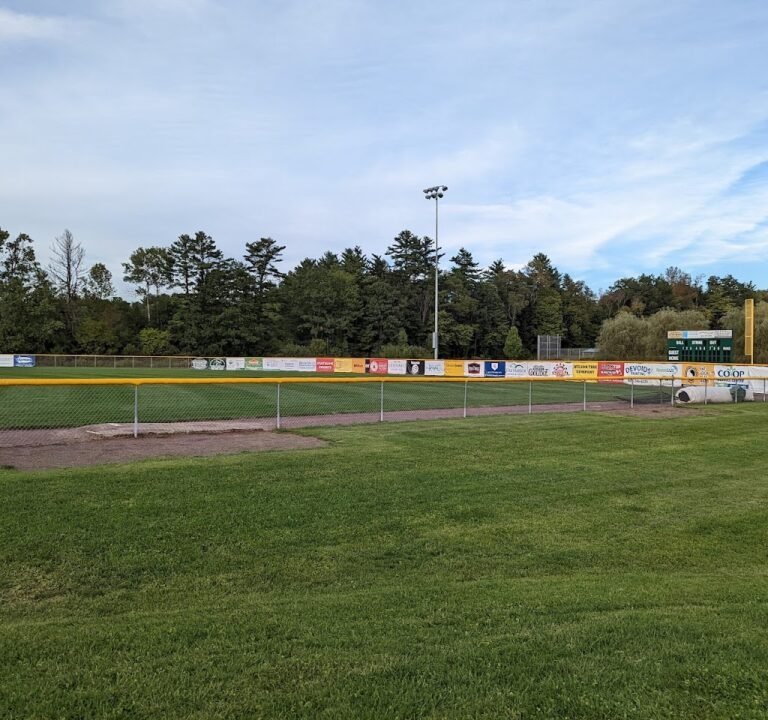 Soccer Field image 2