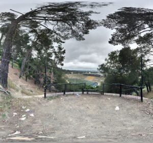 Soccer Field image 3
