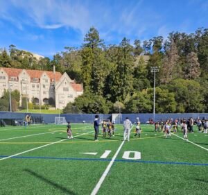 Soccer Field image 2