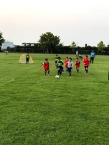 Soccer Field image 1