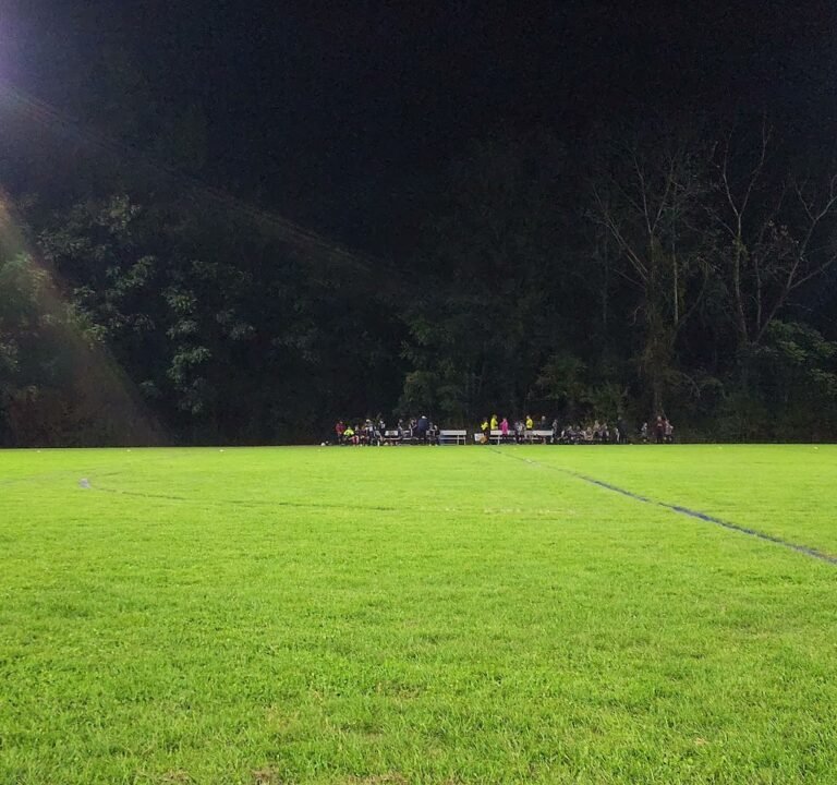 Soccer Field image 4