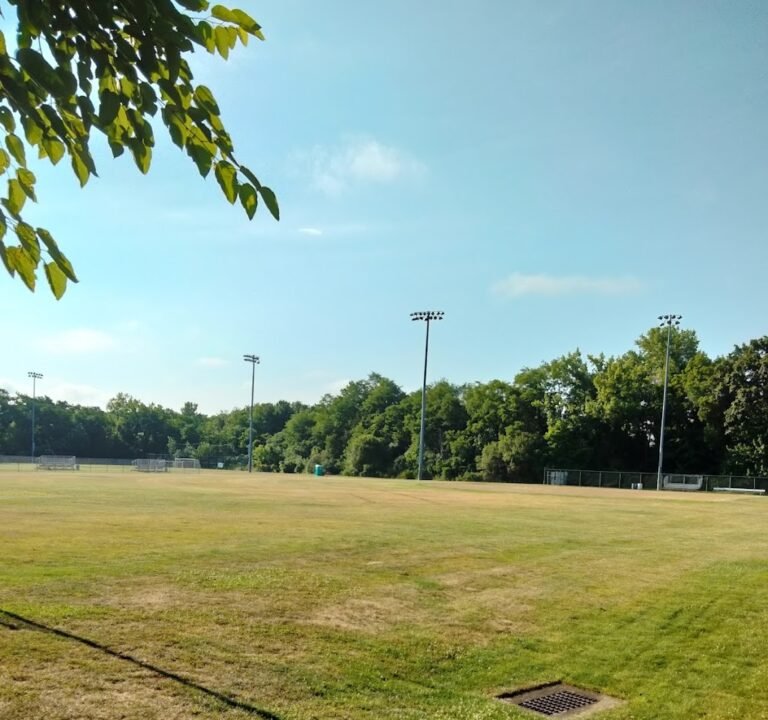 Soccer Field image 2