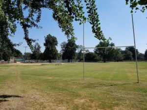 Soccer Field image 1