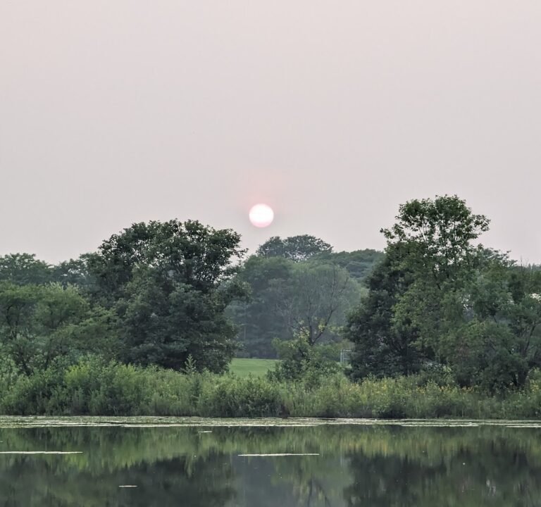 Soccer Field image 3