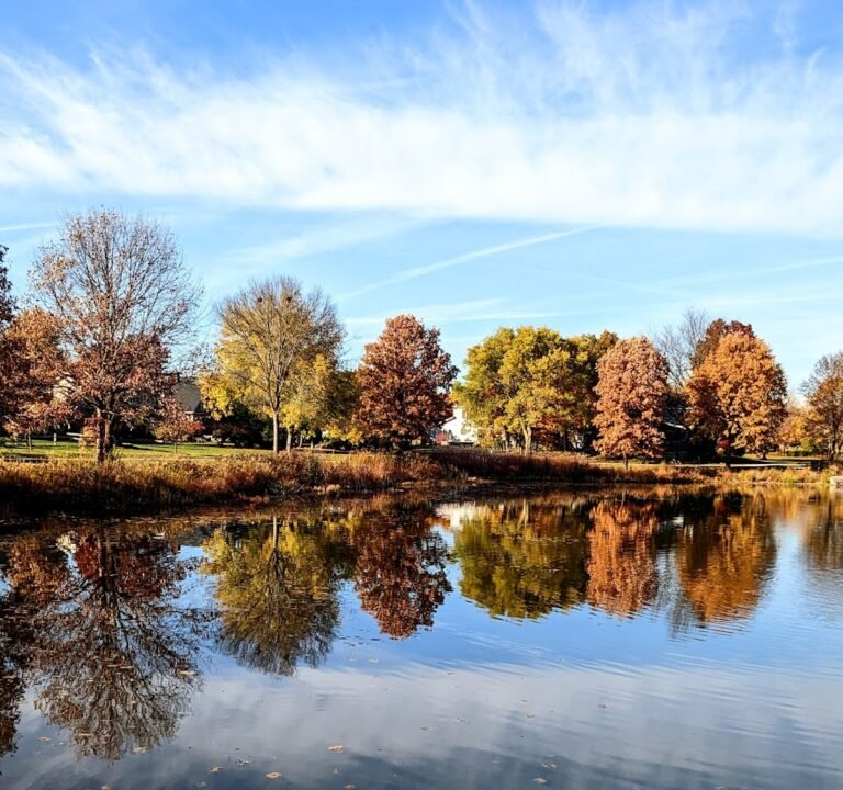 Soccer Field image 2