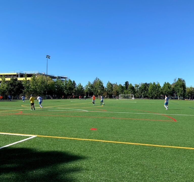 Soccer Field image 3