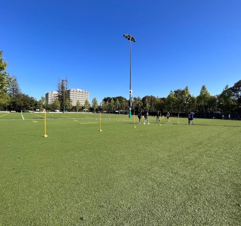 Soccer Field image 2